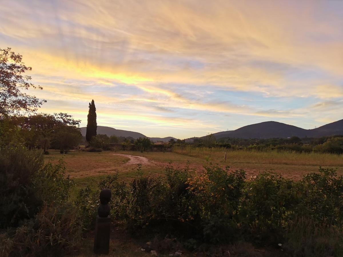 Le Clos De La Chardonniere Saulce-sur-Rhone Bagian luar foto